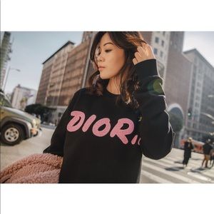 Dior Kaws Sweatshirt